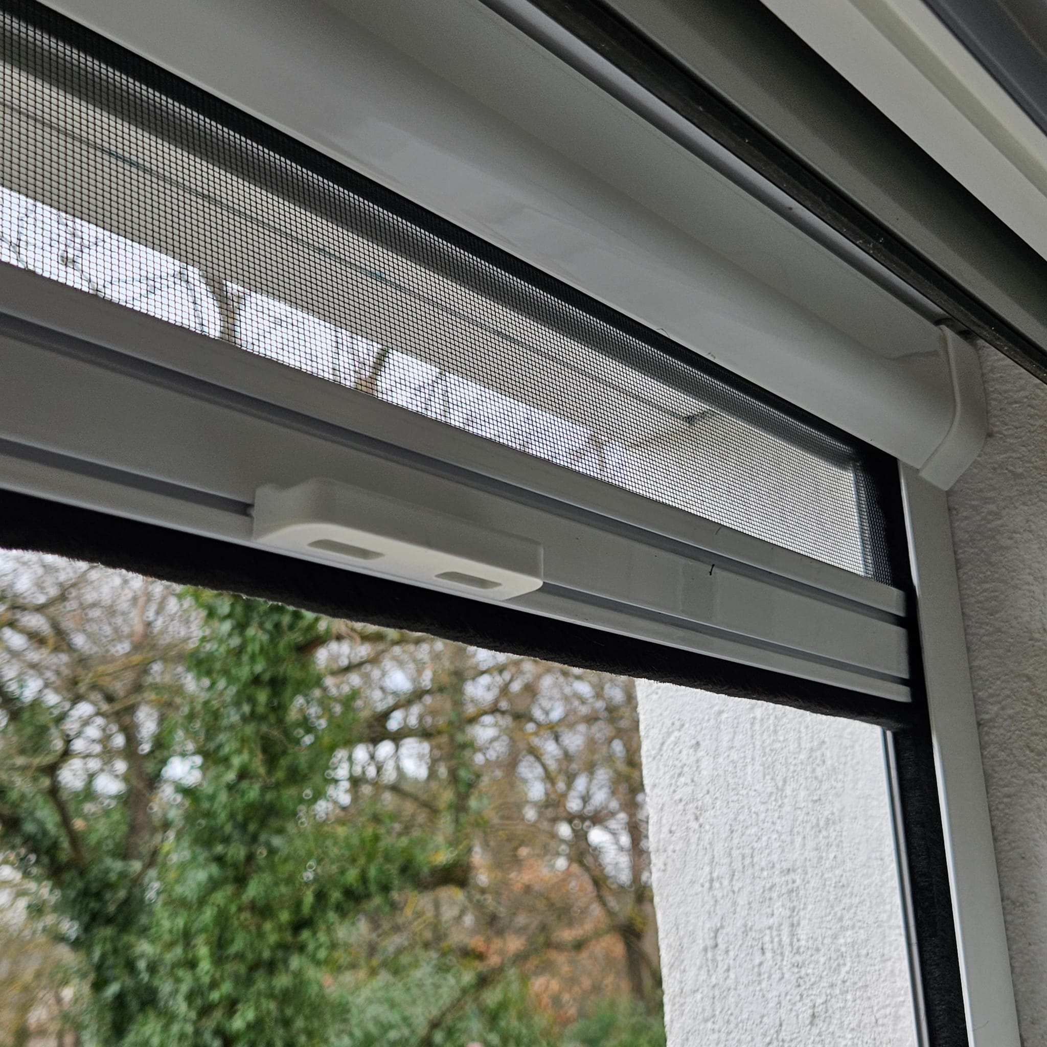 Fenêtre moderne avec moustiquaire intégrée et vue jardin